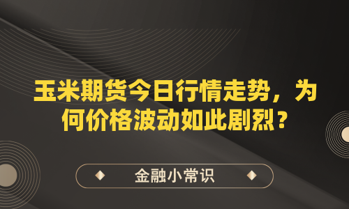 玉米期货今日行情走势，为何价格波动如此剧烈？