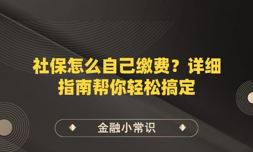 社保怎么自己缴费？详细指南帮你轻松搞定