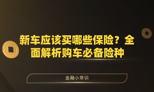 新车应该买哪些保险？全面解析购车必备险种
