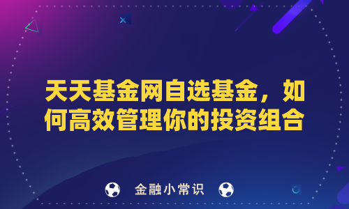 天天基金网自选基金，如何高效管理你的投资组合？