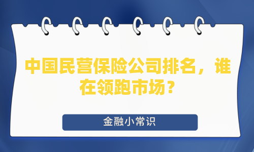 中国民营保险公司排名，谁在领跑市场？