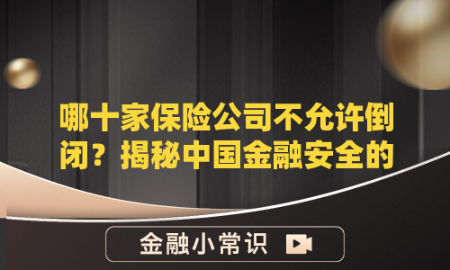 哪十家保险公司不允许倒闭？揭秘中国金融安全的定海神针