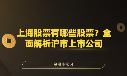 上海股票有哪些股票？全面解析沪市上市公司