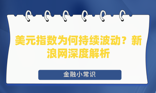 美元指数为何持续波动？新浪网深度解析