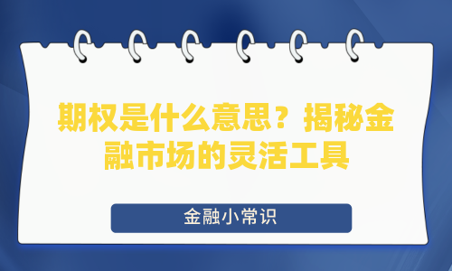 期权是什么意思？揭秘金融市场的灵活工具
