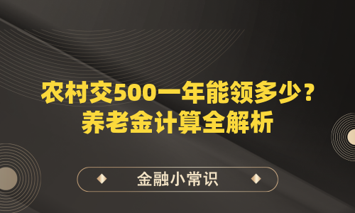 农村交500一年能领多少？养老金计算全解析