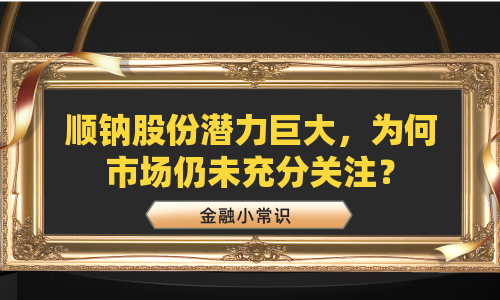 顺钠股份潜力巨大，为何市场仍未充分关注？