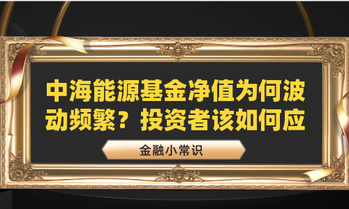 中海能源基金净值为何波动频繁？投资者该如何应对？