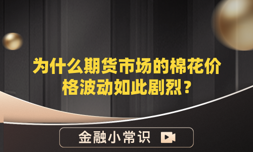 为什么期货市场的棉花价格波动如此剧烈？