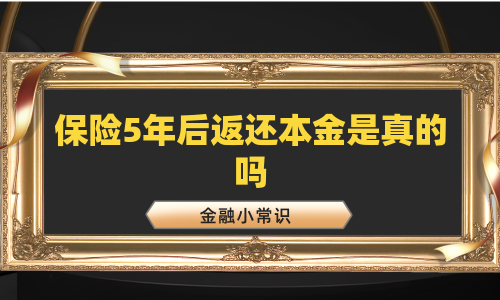 保险5年后返还本金是真的吗