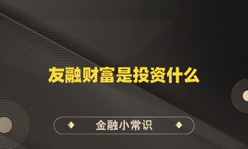 友融财富是投资什么