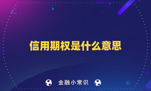 信用期权是什么意思