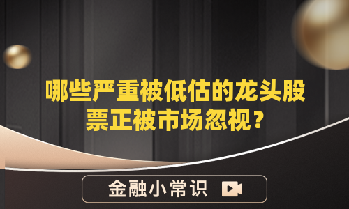 哪些严重被低估的龙头股票正被市场忽视？