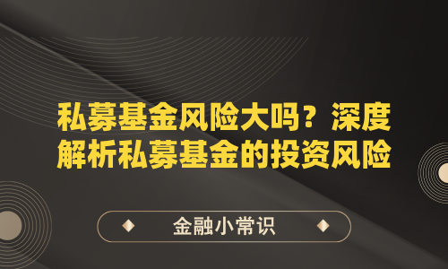 私募基金风险大吗？深度解析私募基金的投资风险与应对策略