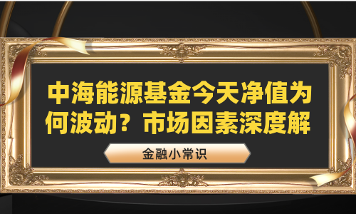 中海能源基金今天净值为何波动？市场因素深度解析