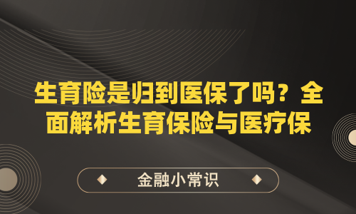 生育险是归到医保了吗？全面解析生育保险与医疗保险的关系