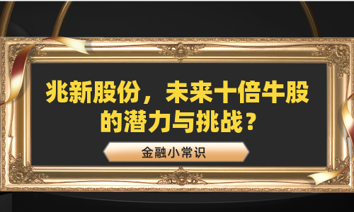 兆新股份，未来十倍牛股的潜力与挑战？