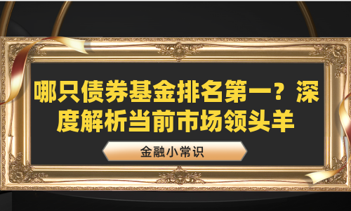 哪只债券基金排名第一？深度解析当前市场领头羊