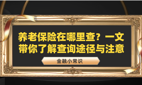 养老保险在哪里查？一文带你了解查询途径与注意事项