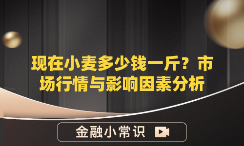 现在小麦多少钱一斤？市场行情与影响因素分析