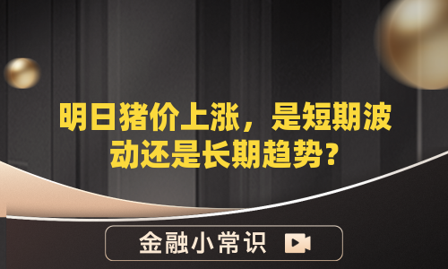 明日猪价上涨，是短期波动还是长期趋势？