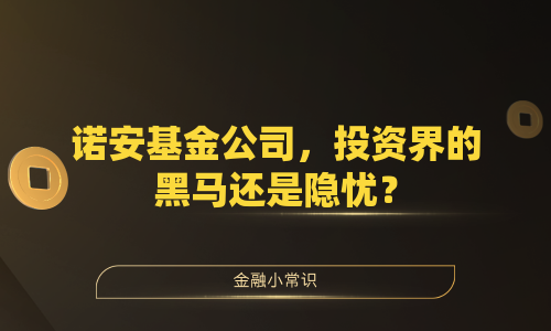 诺安基金公司，投资界的黑马还是隐忧？