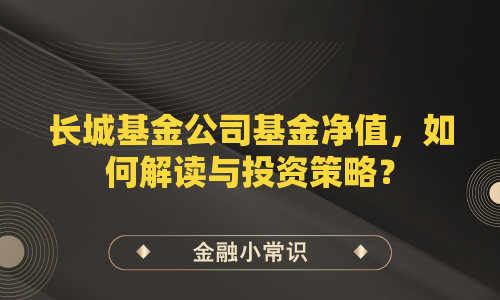 长城基金公司基金净值，如何解读与投资策略？