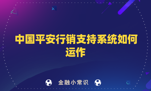 中国平安行销支持系统如何运作