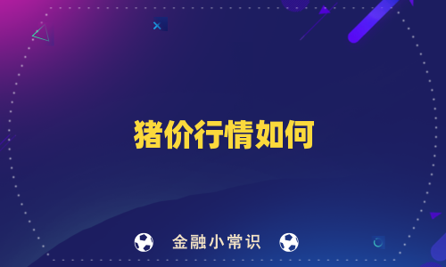 猪价行情如何