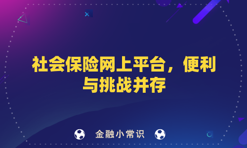 社会保险网上平台，便利与挑战并存