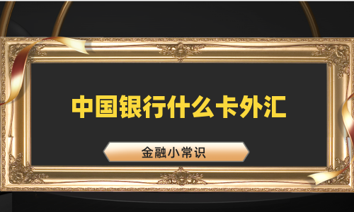 中国银行什么卡外汇