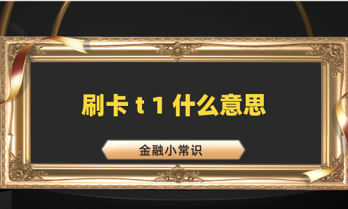 刷卡 t 1 什么意思