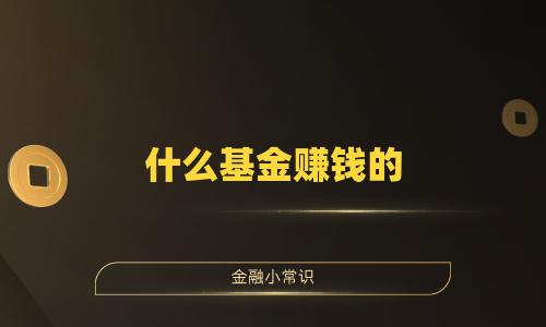 什么基金赚钱的