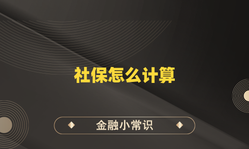 社保怎么计算