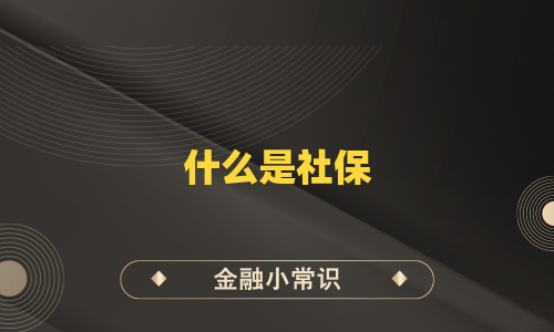 什么是社保