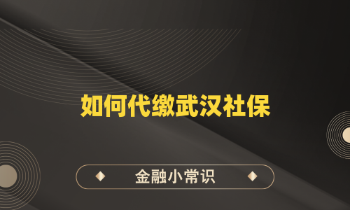 如何代缴武汉社保