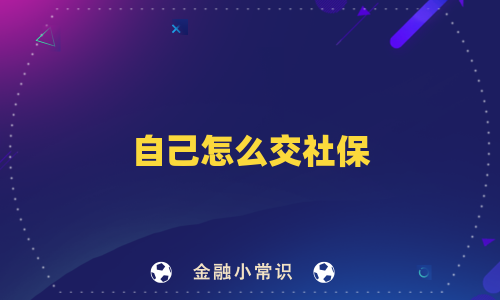 自己怎么交社保
