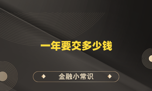 一年要交多少钱