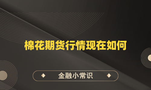 棉花期货行情现在如何
