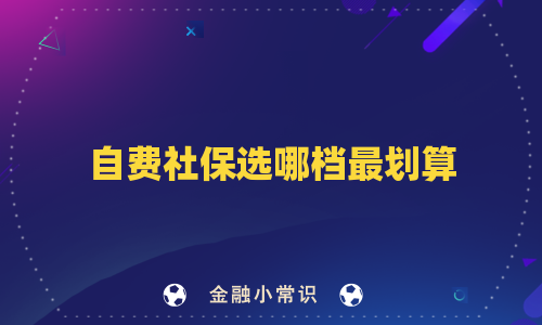 自费社保选哪档最划算