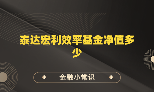 泰达宏利效率基金净值多少