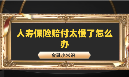 人寿保险赔付太慢了怎么办