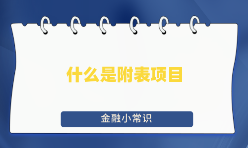 什么是附表项目