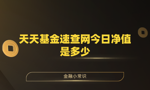 天天基金速查网今日净值是多少