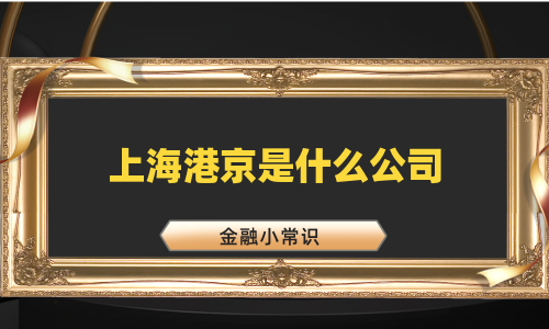 上海港京是什么公司