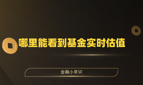 哪里能看到基金实时估值