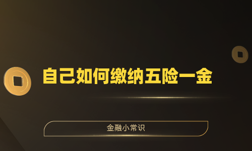 自己如何缴纳五险一金