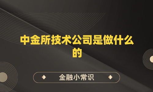中金所技术公司是做什么的