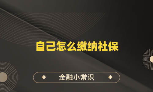 自己怎么缴纳社保
