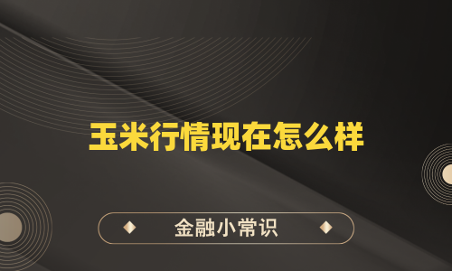 玉米行情现在怎么样